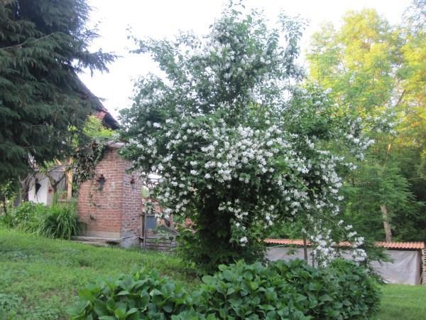 Il Mulino Di Geminella Narzole Exterior foto