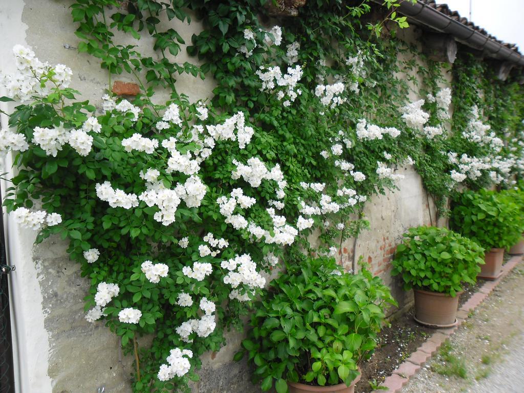 Il Mulino Di Geminella Narzole Exterior foto
